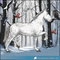 Horse Color:Brown Dun Skewed Appaloosa  and Smoky Grullo Skewed Appaloosa 
