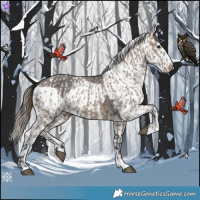 Horse Color:Brown Dun Skewed Appaloosa and Smoky Grullo Skewed Appaloosa