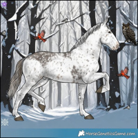 Horse Color:Brown Dun Skewed LP Spotted  and Smoky Grullo Skewed LP Spotted 
