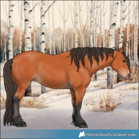 Horse Color:Bay Rabicano