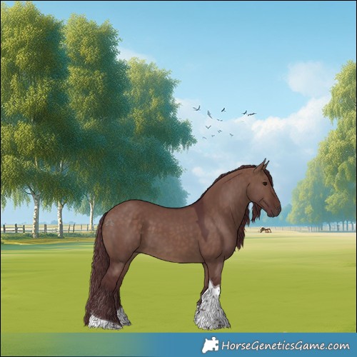 Horse Color:Chocolate Brown Dun Tobiano Rabicano 