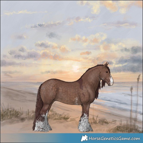 Horse Color:White Spotted Chocolate Brown Dun Rabicano 