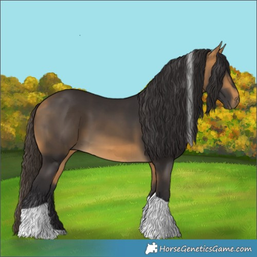 Horse Color:Unknown 