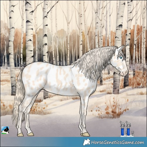 Horse Color:Perlino Near Leopard
