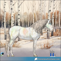 Horse Color:Perlino Near Leopard 