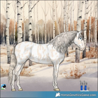 Horse Color:Perlino Near Leopard 