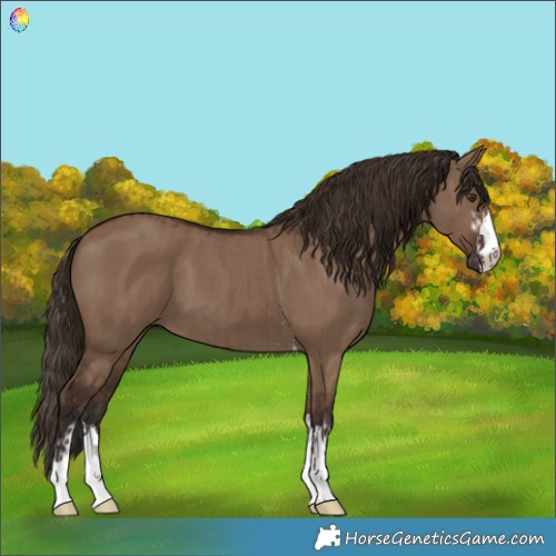 Horse Color:Liver Red Dun  and Liver Red Dun 