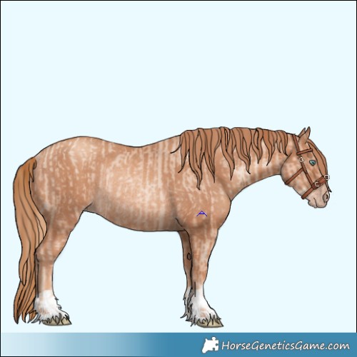 Horse Color:Gold Champagne Pearl Rabicano and Gold Champagne Rabicano