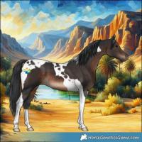 Horse Color:Brown Tobiano 