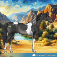 Horse Color:Black Tobiano Rabicano 
