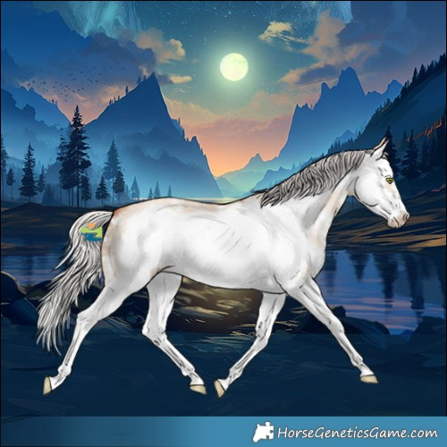 Horse Color:Silver Amber Champagne Dun Sabino Splash Frame 