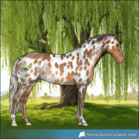 Horse Color:Chocolate Palomino Skewed LP Spotted
