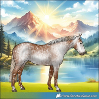 Horse Color:Gray Chestnut Snowflake Varnish  and Gray Chestnut Snowflake Varnish 
