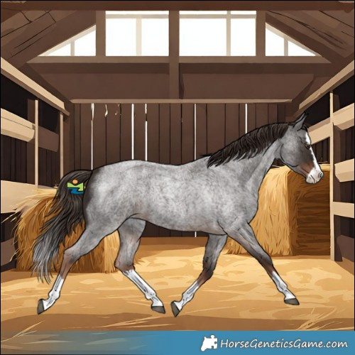 Horse Color:Liver Red Roan Splash 
