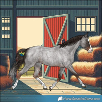 Horse Color:Liver Red Roan Splash 
