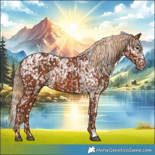 Horse Color:Chestnut Blanket  and Chestnut Snowflake Varnish 