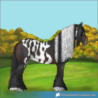 Horse Color:Bay Skewed LP Spotted 