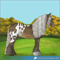 Horse Color:Silver Buckskin Skewed LP Spotted Rabicano