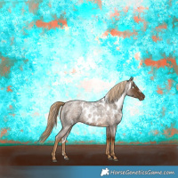 Horse Color:Chocolate Palomino Roan Skewed LP Spotted