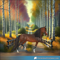 Horse Color:Bay Rabicano 