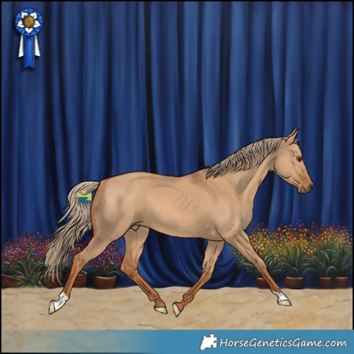 Horse Color:Red Dun Rabicano