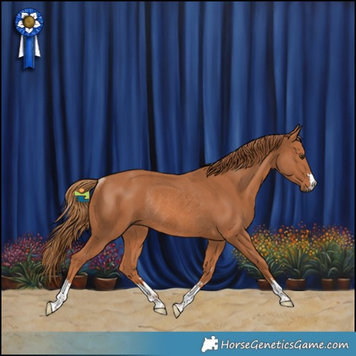 Horse Color:Chestnut Rabicano