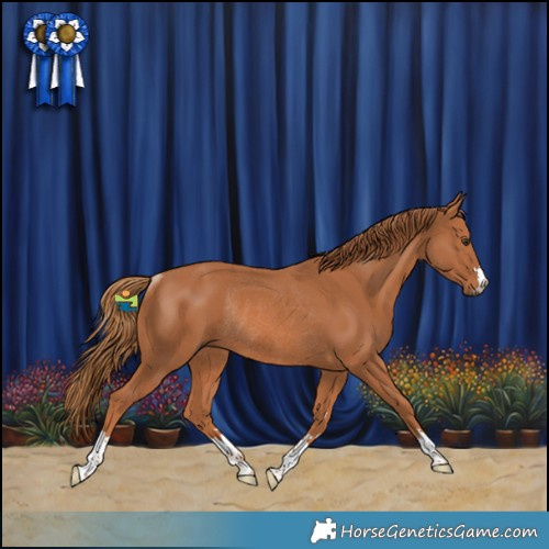 Horse Color:Chestnut Rabicano 