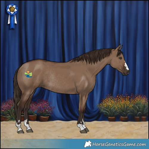 Horse Color:Liver Red Dun Rabicano 