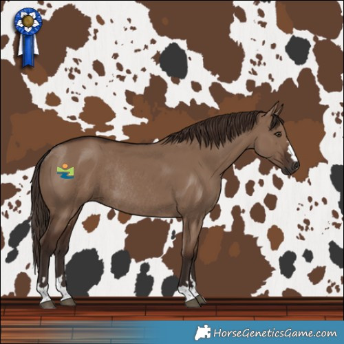 Horse Color:Liver Red Dun Rabicano 