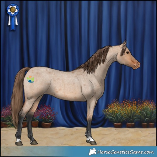 Horse Color:Bay Roan Dun Appaloosa Rabicano 