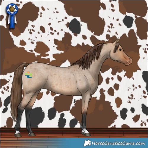 Horse Color:Bay Roan Dun Varnish Rabicano 