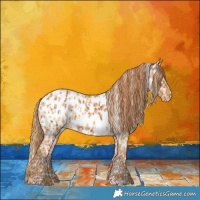 Horse Color:Chestnut Near Leopard  and Red Dun Near Leopard 