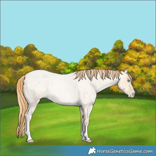 Horse Color:Buckskin Roan Pearl  and Buckskin Roan Pearl 