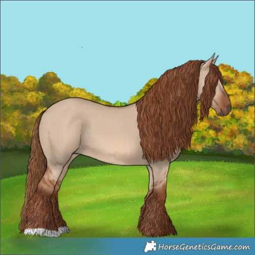 Horse Color:Red Dun Rabicano 