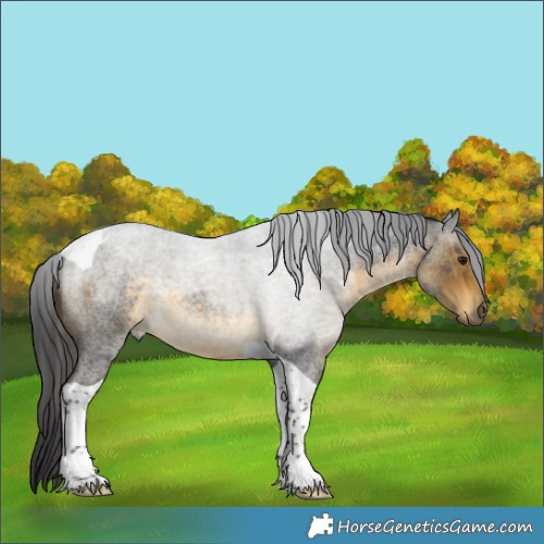 Horse Color:Buckskin Roan Tobiano 