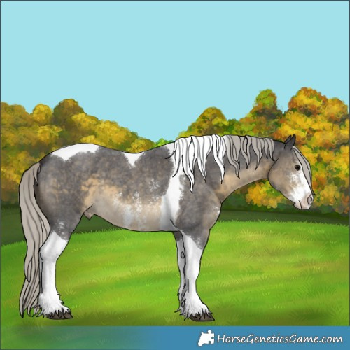 Horse Color:Silver Smoky Black Sabino Tobiano Varnish 