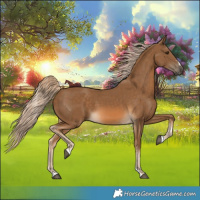 Horse Color:Chocolate Palomino 