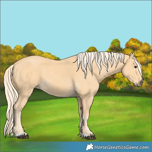 Horse Color:Palomino 