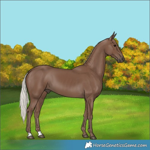 Horse Color:Silver Black 