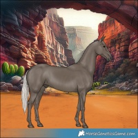 Horse Color:Silver Black 