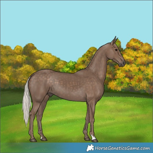 Horse Color:Silver Black 