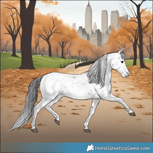 Horse Color:Black Sabino 