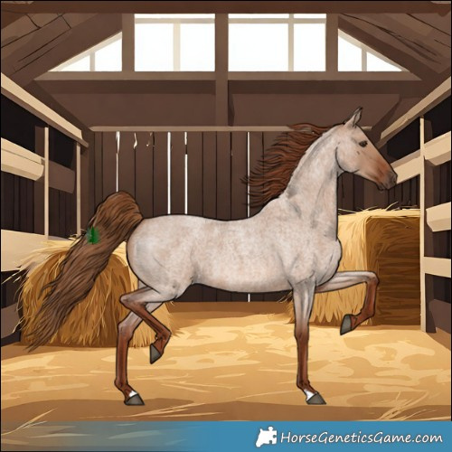 Horse Color:Red Dun Roan 