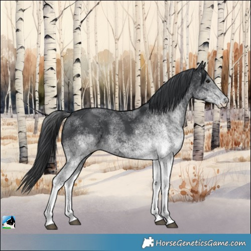 Horse Color:White Spotted Black 