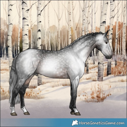 Horse Color:Gray Brown Mushroom 