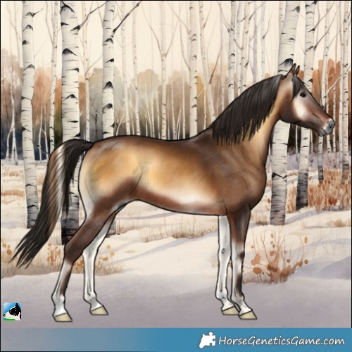 Horse Color:Gray Bay Onyx Rabicano