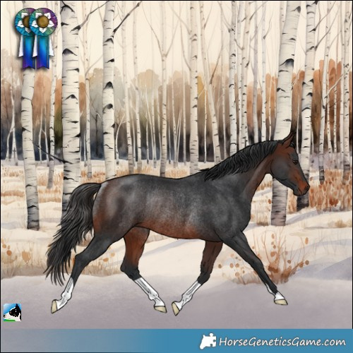 Horse Color:Brown Rabicano 