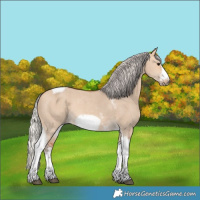 Horse Color:Silver Bay Dun Sabino Tobiano Frame Rabicano 