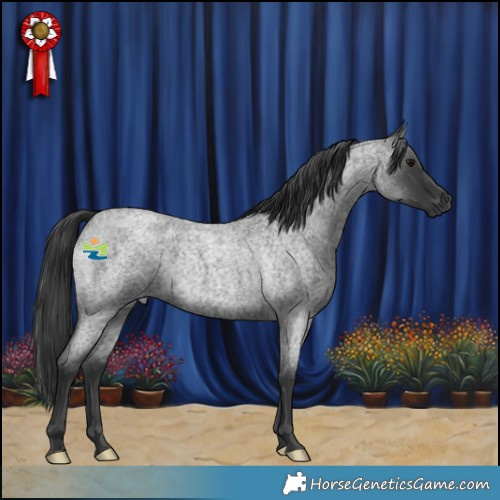 Horse Color:Blue Roan 