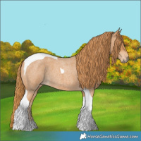 Horse Color:Red Roan Tobiano 